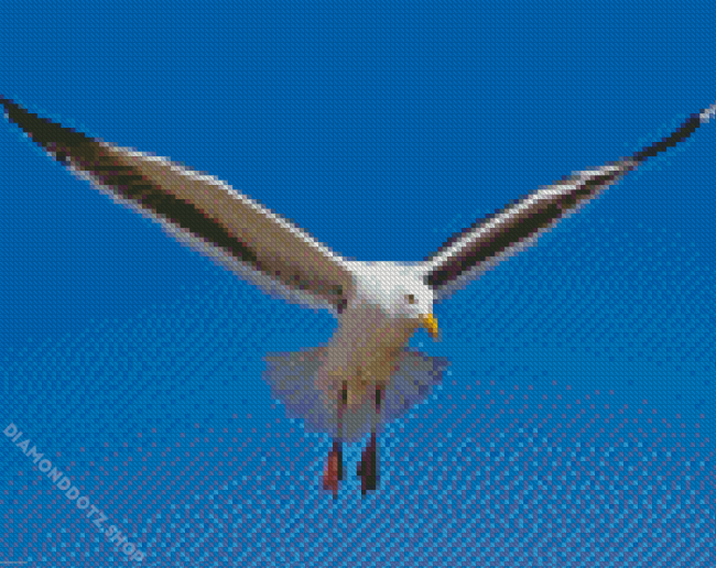 Seagull Flying Diamond Painting