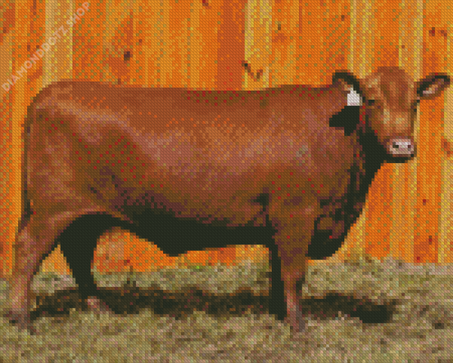 American Cattle Diamond Painting