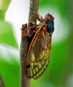 Cicadas On Plant Diamond Painting