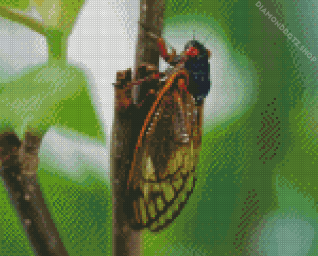 Cicadas On Plant Diamond Painting