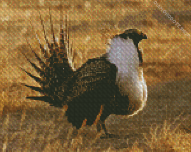 Greater Sage Grouse Diamond Painting