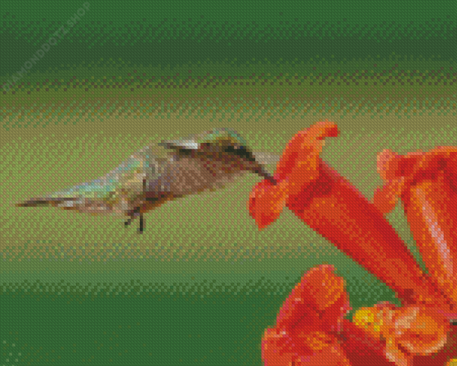 Hummingbird And Flowers Diamond Painting