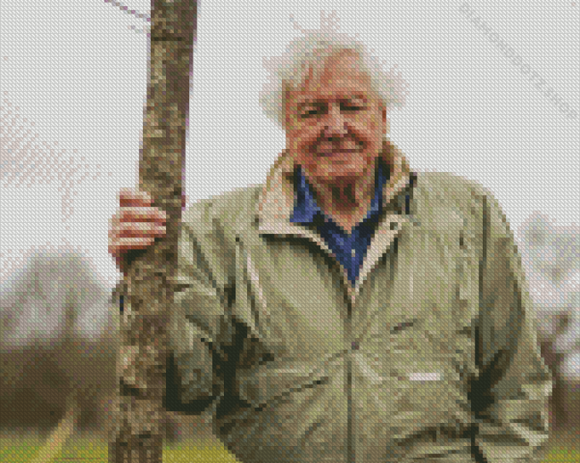 David Attenborough Diamond Painting