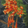 Orange Trumpet Vines Diamond Painting