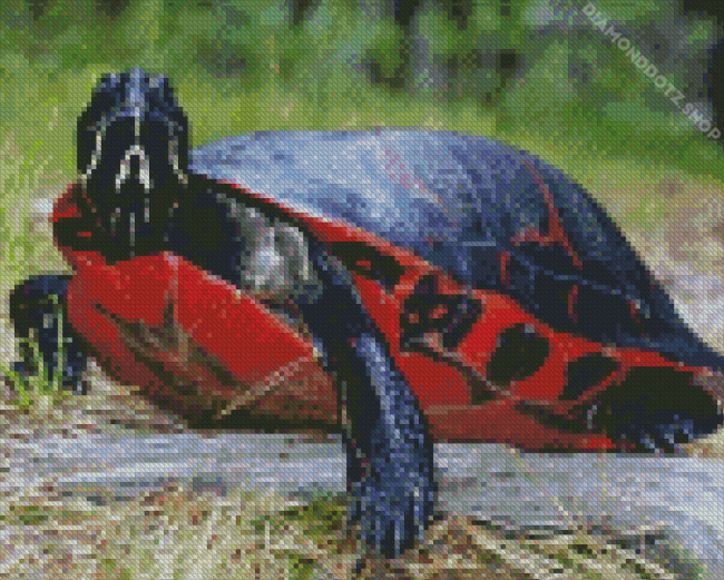 Red Turtle Diamond Painting
