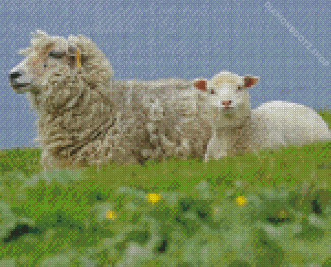 Sheep In Field Diamond Painting
