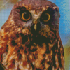 Morepork Bird Diamond Painting