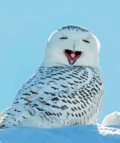 Funny Bird Owl Diamond Painting