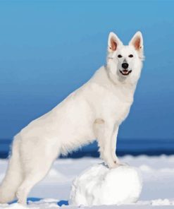 Shepherd Dog Snow Diamond Painting