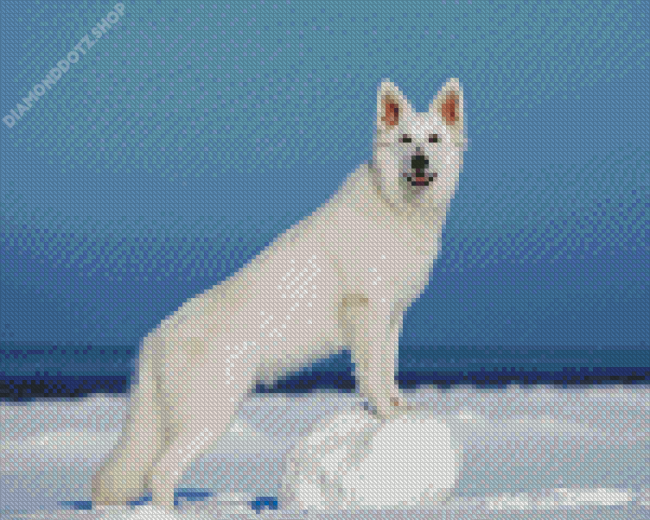 Shepherd Dog Snow Diamond Painting