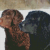 Retriever Dogs Diamond Painting