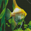 Gold Angelfish Diamond Painting