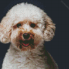 Miniature Poodle Puppy Diamond Painting