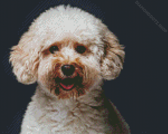 Miniature Poodle Puppy Diamond Painting