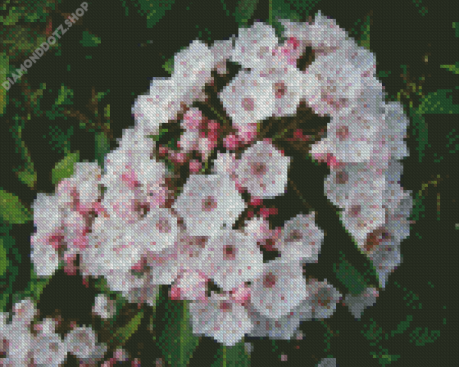 Mountain Laurel Diamond Painting