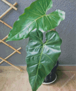 Philodendron Leaves Diamond Painting