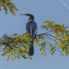 Anhinga Bird Diamond Painting