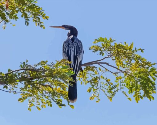 Anhinga Bird Diamond Painting