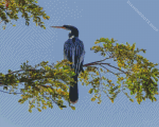 Anhinga Bird Diamond Painting