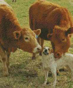 Cows And Dog Diamond Painting