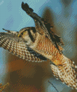 Hawk Owl Bird Diamond Painting