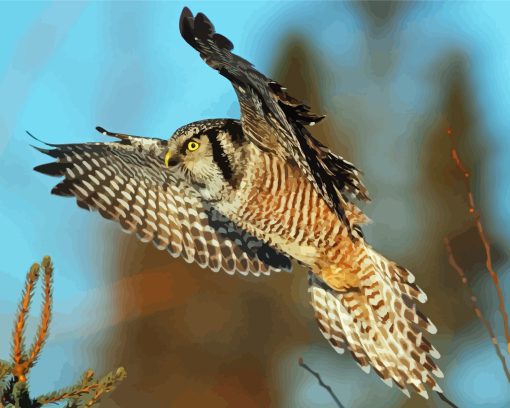 Hawk Owl Bird Diamond Painting