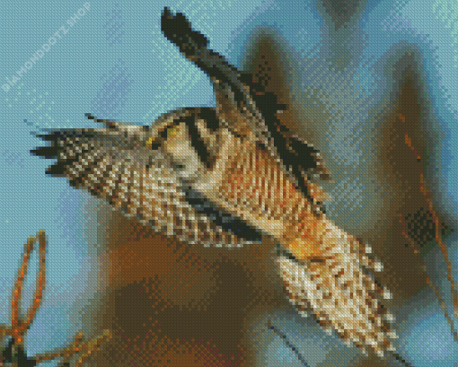 Hawk Owl Bird Diamond Painting