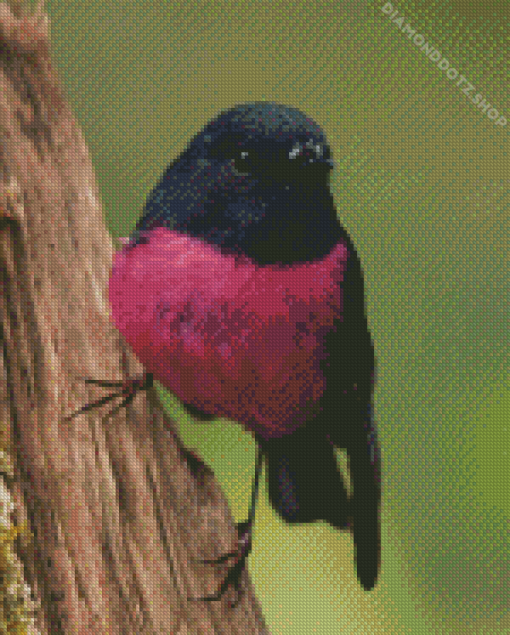 Black Pink Robin Diamond Painting