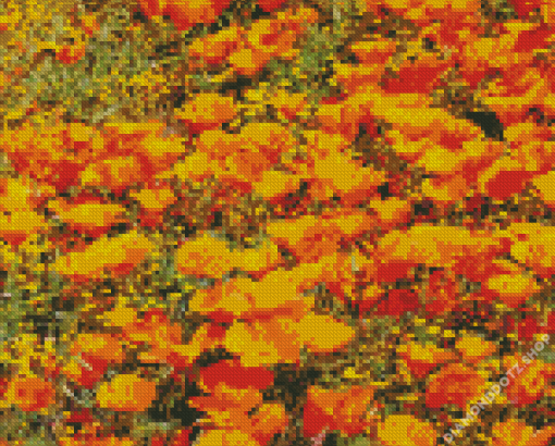 California Poppies Diamond Painting