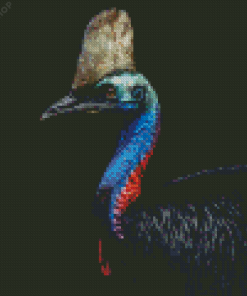 Cassowary Bird Diamond Painting
