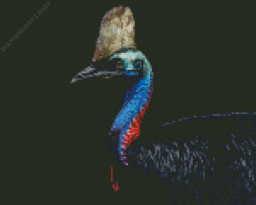 Cassowary Bird Diamond Painting