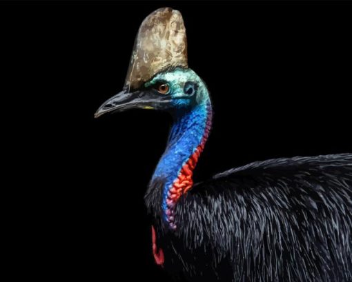 Cassowary Bird Diamond Painting