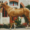 Palomino Horse Diamond Painting