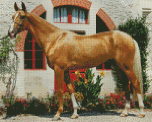 Palomino Horse Diamond Painting