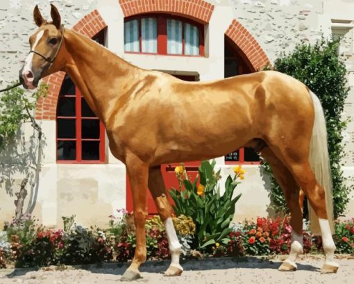 Palomino Horse Diamond Painting