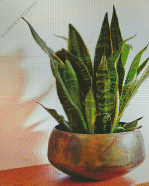 Snake Plant Diamond Painting