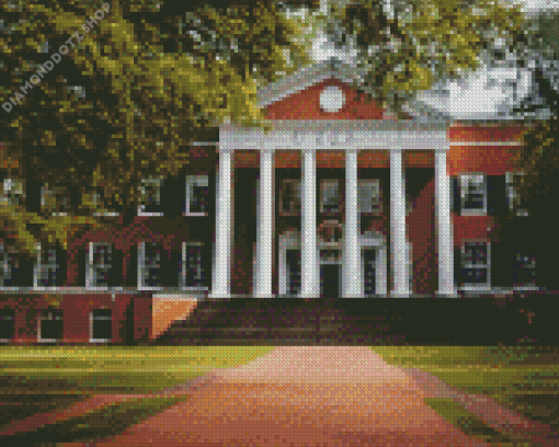 University Of Georgia Diamond Painting