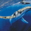 Humpback Whale Diamond Painting