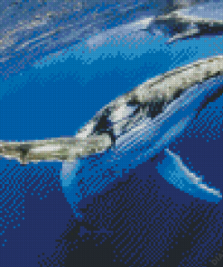 Humpback Whale Diamond Painting
