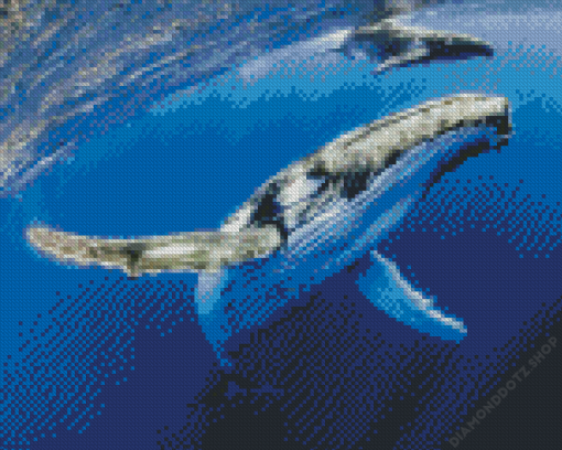 Humpback Whale Diamond Painting