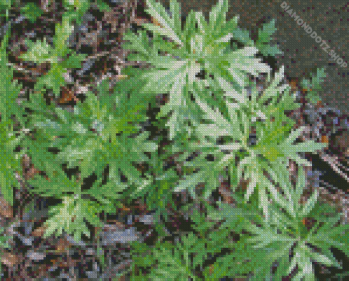 Artemisia Diamond Painting