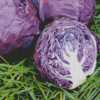 Cabbage Diamond Painting