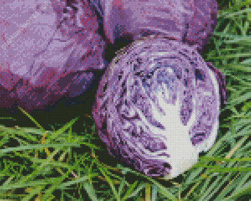 Cabbage Diamond Painting