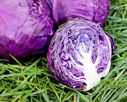 Cabbage Diamond Painting