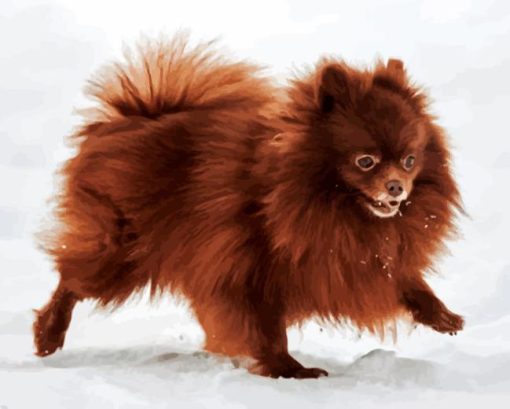 Chocolate Pomeranian Diamond Painting