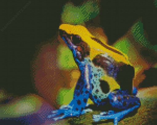 Dart Frogs Diamond Painting