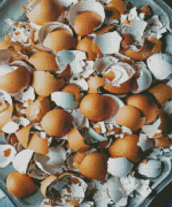 Eggshell Diamond Painting