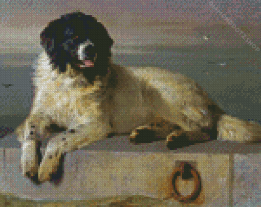 Landseer Dog Diamond Painting