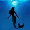 Mermaid Silhouette Undersea Diamond Painting