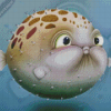 Puffer Fish Diamond Painting